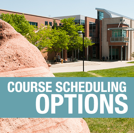 Course Scheduling Options